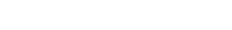 Salt NIX logo